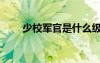 少校軍官是什么級別的干部（少校）