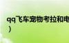 qq飛車寵物考拉和電子咩（qq飛車考拉公主）