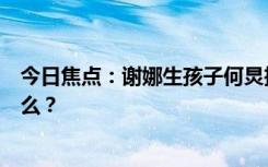 今日焦點：謝娜生孩子何炅推掉工作去陪產(chǎn)，具體情況是什么？