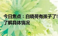 今日焦點：白曉荷有孩子了!《玫瑰的故事》劇情解析，帶您了解具體情況