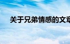 關于兄弟情感的文章 塵封的兄弟情散文