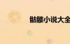 骷髏小說(shuō)大全（骷髏小說(shuō)）