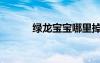 綠龍寶寶哪里掉落（綠龍寶寶）