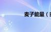 麥子能量（麥加的能量）