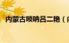 內(nèi)蒙古嗩吶呂二艷（內(nèi)蒙二人臺嗩吶郝花）
