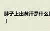 脖子上出黃汗是什么原因（出黃汗是什么原因）