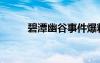 碧潭幽谷事件爆料人（碧潭幽谷）