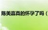 陳美嘉真的懷孕了嗎（陳美嘉懷了誰的孩子）