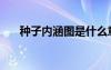 種子內(nèi)涵圖是什么意思（種子內(nèi)涵圖）