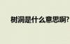 樹洞是什么意思啊?（樹洞是什么東西）