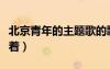 北京青年的主題歌的歌名（北京青年主題曲活著）
