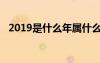 2019是什么年屬什么年（2019是什么年）