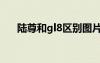 陸尊和gl8區(qū)別圖片（陸尊和gl8區(qū)別）