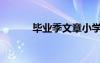 畢業(yè)季文章小學(xué)（畢業(yè)季文章）