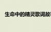 生命中的精靈歌詞故事 生命中的精靈散文