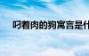 叼著肉的狗寓言是什么 叼著肉的狗寓言