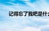 記得忘了我吧是什么歌（記得忘了我）