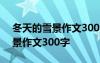 冬天的雪景作文300字三年級上冊 冬天的雪景作文300字