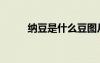 納豆是什么豆圖片（納豆是什么）