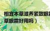 相宜本草滋養(yǎng)緊致眼霜的功效與作用（相宜本草眼霜好用嗎）