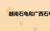 越南石龜和廣西石龜區(qū)別（越南石龜）