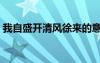 我自盛開清風(fēng)徐來的意思（清風(fēng)徐來的意思）
