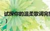 試探你的溫柔歌詞完整版（試探你的溫柔歌詞）