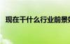 現(xiàn)在干什么行業(yè)前景好（什么行業(yè)前景好）