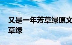 又是一年芳草綠原文 散文欣賞：又是一年芳草綠