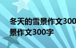 冬天的雪景作文300字三年級上冊 冬天的雪景作文300字