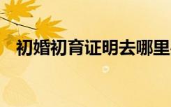 初婚初育證明去哪里辦 初婚初育證明格式