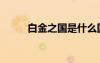 白金之國是什么國家（白金之國）