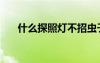 什么探照燈不招蟲子（什么是探照燈）