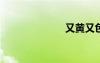 又黃又色的游戲