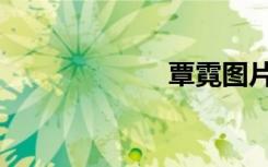覃霓圖片（覃霓）
