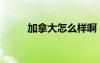加拿大怎么樣啊（加拿大怎么樣）