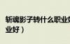 斬魂影子轉(zhuǎn)什么職業(yè)好玩（斬魂影子轉(zhuǎn)什么職業(yè)好）