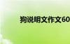 狗說明文作文600字（狗說明文）