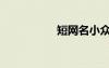 短網(wǎng)名小眾（短網(wǎng)名）