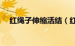 紅繩子伸縮活結(jié)（紅繩項(xiàng)鏈可伸縮活結(jié)）