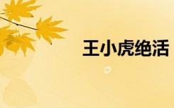 王小虎絕活（yy王小虎）