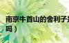 南京牛首山的舍利子是真的嗎（舍利子是真的嗎）