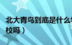 北大青鳥到底是什么學(xué)校（北大青鳥是正規(guī)學(xué)校嗎）