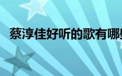 蔡淳佳好聽的歌有哪些（蔡淳佳好聽的歌）