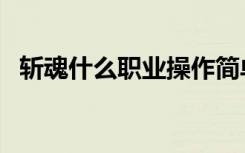 斬魂什么職業(yè)操作簡單（斬魂什么職業(yè)好）
