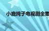 小鹿純子電視劇全集（小鹿純子電視?。?/></a>
				</div>
				<div   id=
