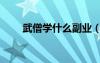武僧學(xué)什么副業(yè)（武僧學(xué)什么專業(yè)）
