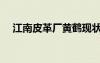 江南皮革廠黃鶴現(xiàn)狀（江南皮革廠黃鶴）