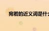 宛若的近義詞是什么（宛若的近義詞）