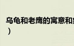 烏龜和老鷹的寓意和象征（烏龜和老鷹的寓意）